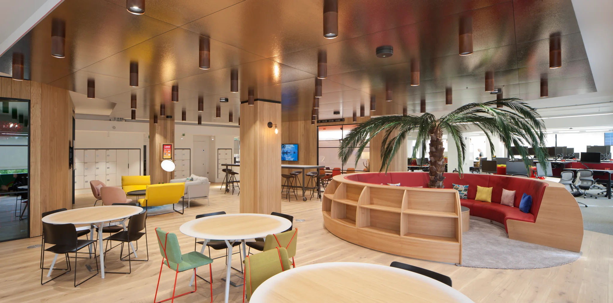 palm tree in the middle of a collaboration area