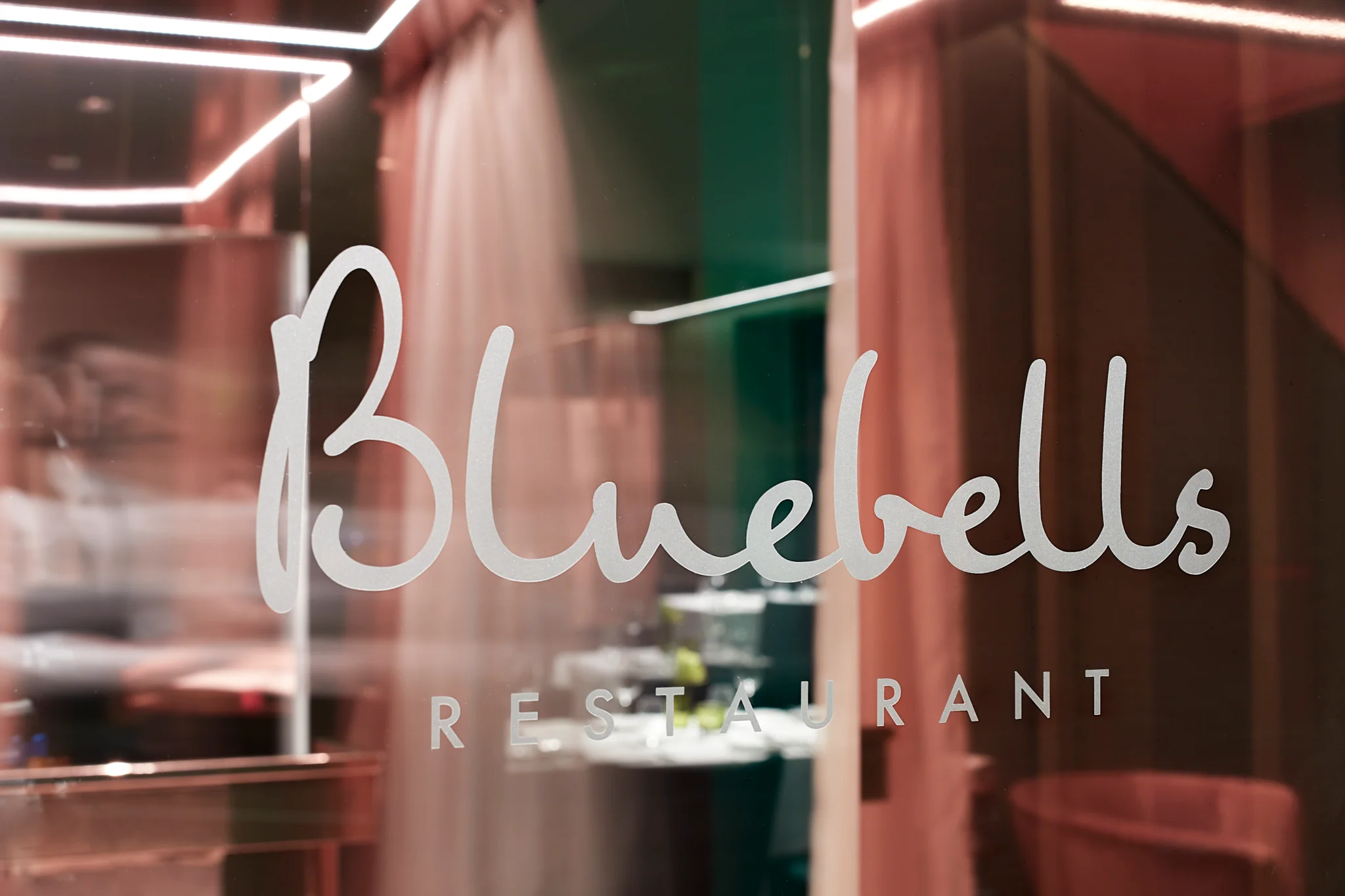 bluebells logo on a reflective pink glass surface