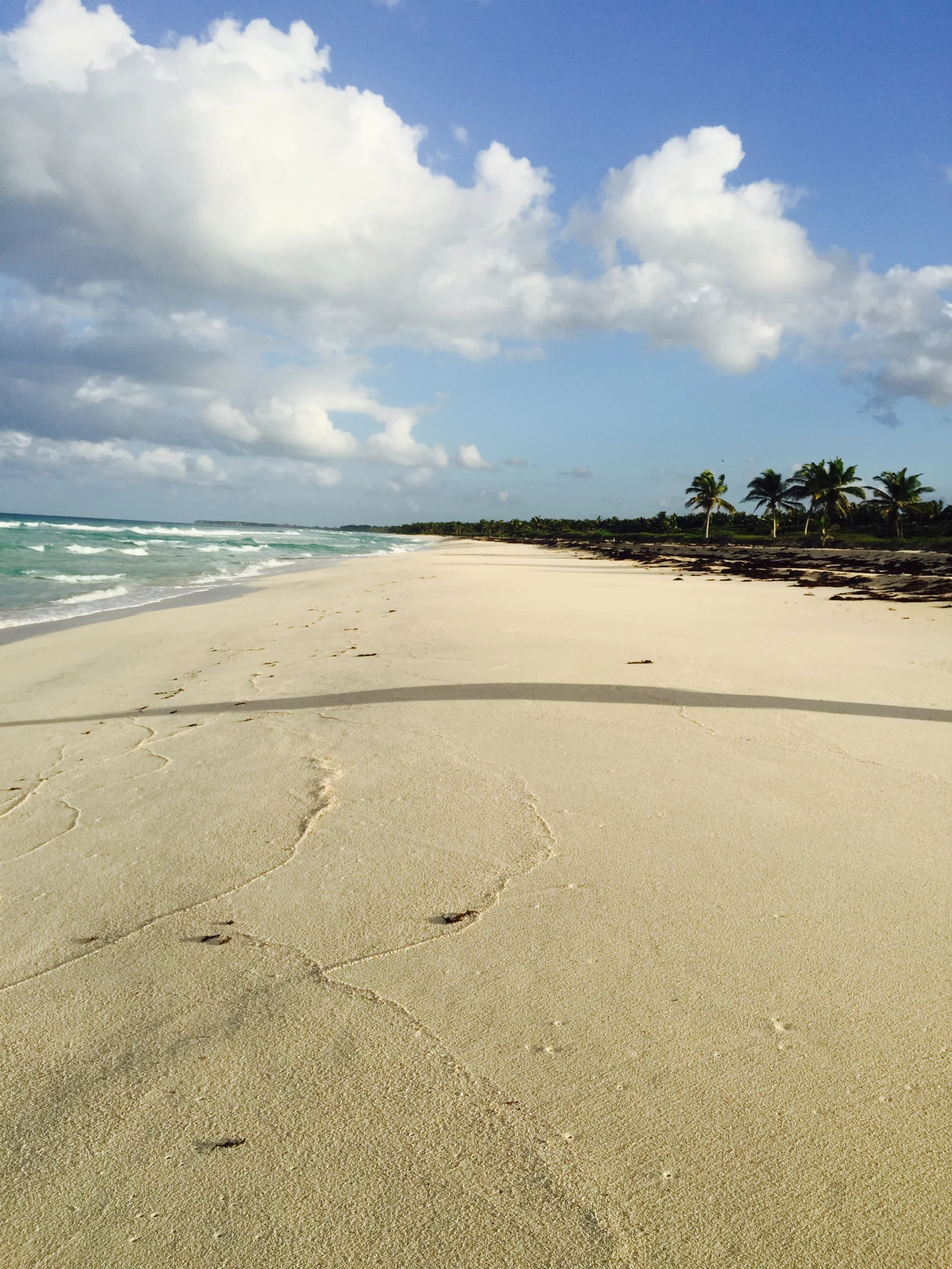 A side view of a sunny white sandy beach with the sea and waves to the left and trees to the right