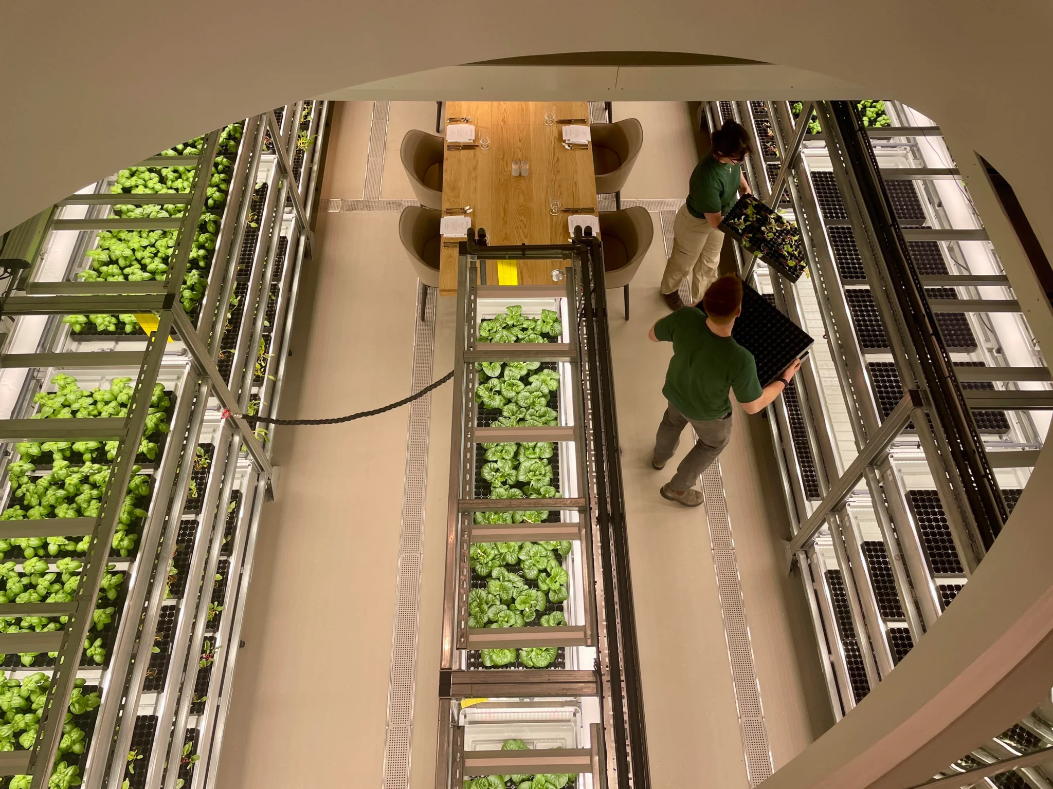 Overhead view of planting beds and walkways within GSK's indoor farm