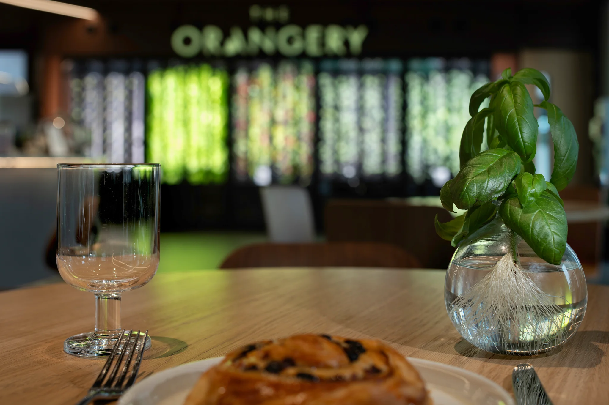 Dining area beside the Orangery Farm at GSK's London headquarters