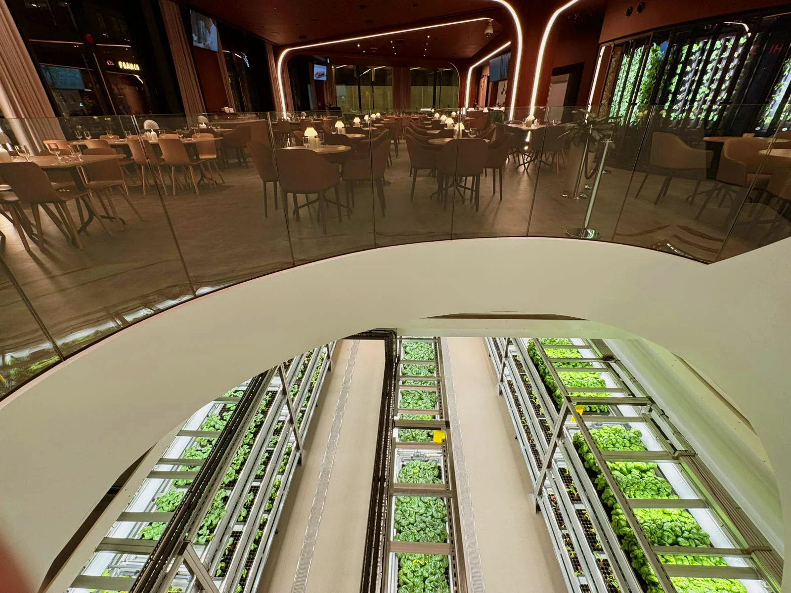 View from the upper level overlooking the indoor farm at GSK's headquarters