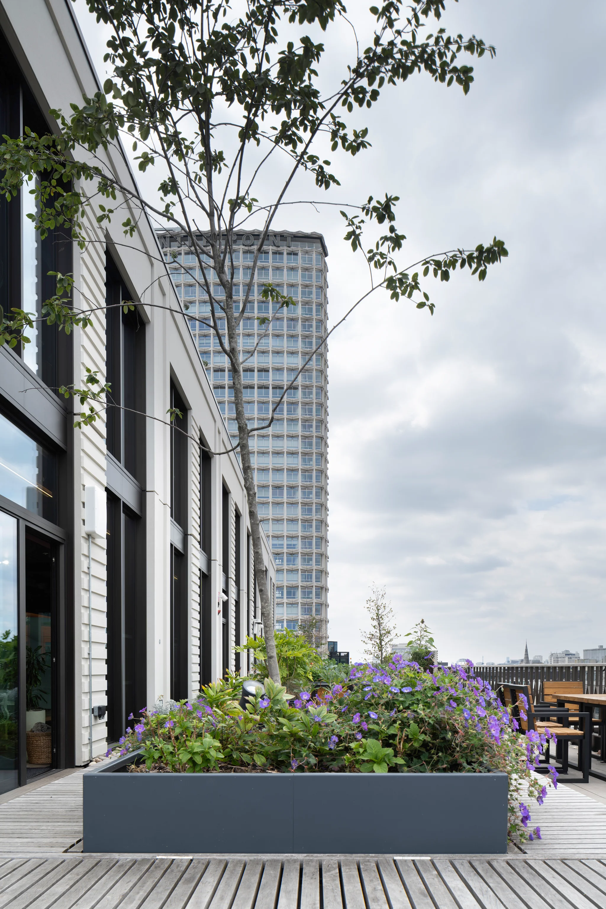 Exterior of GSK's London headquarters viewed from the terrace